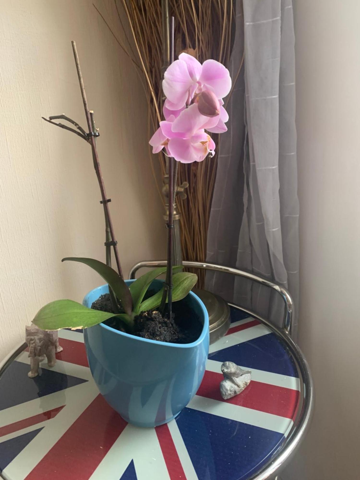 Belle Chambre Au Coeur De Bayonne公寓 外观 照片